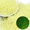 6/0 Luminous Glass Seed Beads SEED-NH0001-01B-1