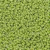 MIYUKI Round Rocailles Beads X-SEED-G009-RR0439-3