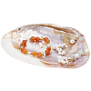 Natural Shell Ring Holder DJEW-WH0001-36-1