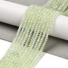 Natural Prehnite Beads Strands G-B107-D03-01-1