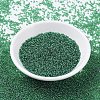 MIYUKI Round Rocailles Beads X-SEED-G007-RR0173-2