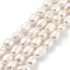 Natural Cultured Freshwater Pearl Beads Strands PEAR-P062-32D-2