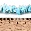Natural Sea Shell Beads Strands BSHE-K012-08C-7