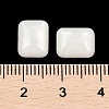 Opaque Resin Decoden Cabochons CRES-I036-09B-3