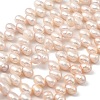 Natural Cultured Freshwater Pearl Beads Strands PEAR-I007-04E-03C-2