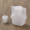 DIY Wishing Bottle Silicone Molds DIY-M049-01B-2
