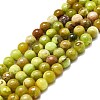 Natural Green Opal Beads Strands G-K245-A17-A02-1