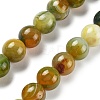 Natural Multi-Color Agate Beads Strands G-A261-B14-14mm-2