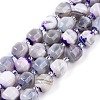 Natural Agate(Dyed) Beads Strands G-T141-05A-1
