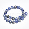 Natural Blue Spot Jasper Beads Strands G-S357-F06-2