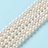 Natural Pearl Beads Strands PEAR-E018-73-2
