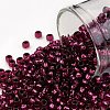 TOHO 8/0 Round Beads SEED-TR08-2226-1
