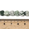 Natural Green Spot Jasper  Beads Strands G-M403-A22-03-5