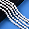 Natural Cultured Freshwater Pearl Beads Strands PEAR-S017-005-1