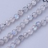 Natural Labradorite Beads Strands G-F619-15-4mm-1