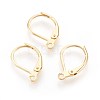 304 Stainless Steel Leverback Earrings Findings STAS-F188-10G-1