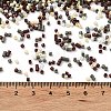 Baking Paint Glass Seed Beads X-SEED-S042-05B-55-4