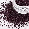 Glass Cylinder Beads SEED-S047-A-042-4