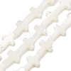 Natural White Shell Beads Strands SSHEL-F0812C-1