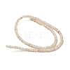 Dyed Natural Freshwater Shell Beads Strands X1-BSHE-G039-07N-2