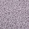 TOHO 11/0 Round Beads X-SEED-TR11-1066-2