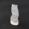 Natural Selenite Figurines DJEW-Q006-01G-2