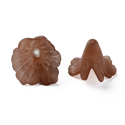Transparent Acrylic Bead Caps PL551-C06-1