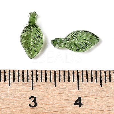 Transparent Acrylic Charms X-TACR-F009-11D-1