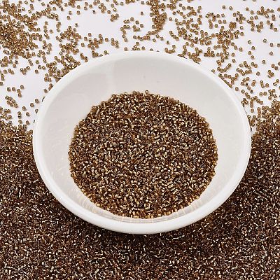 MIYUKI Delica Beads X-SEED-J020-DB2524-1