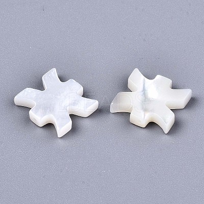 Natural White Shell Beads LS-SSHEL-ZX004-02E-1