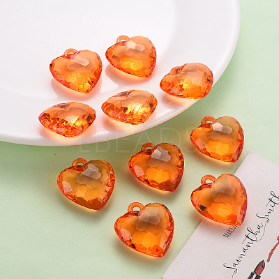 Transparent Acrylic Pendants TACR-T024-03B-921-1