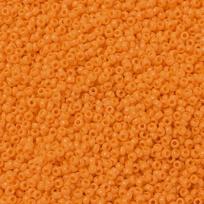 MIYUKI Round Rocailles Beads X-SEED-G007-RR0405-1
