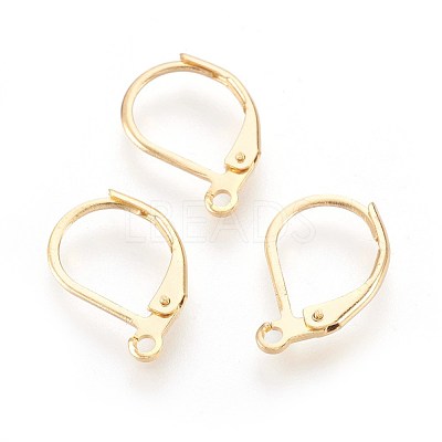 304 Stainless Steel Leverback Earrings Findings STAS-F188-10G-1