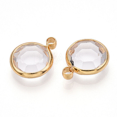 K9 Glass Charms X1-GLAA-T023-37A-02-1