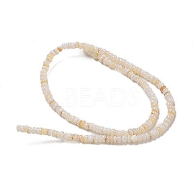 Dyed Natural Freshwater Shell Beads Strands X1-BSHE-G039-07N-1