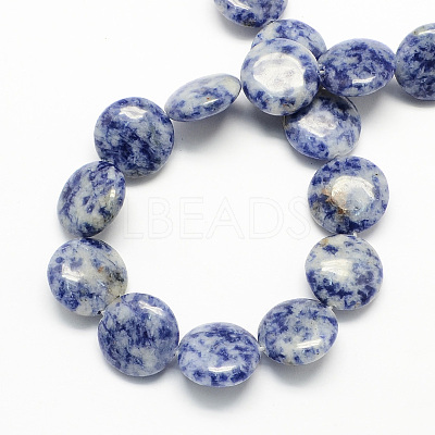 Natural Blue Spot Jasper Bead Strands G-S110-13-1