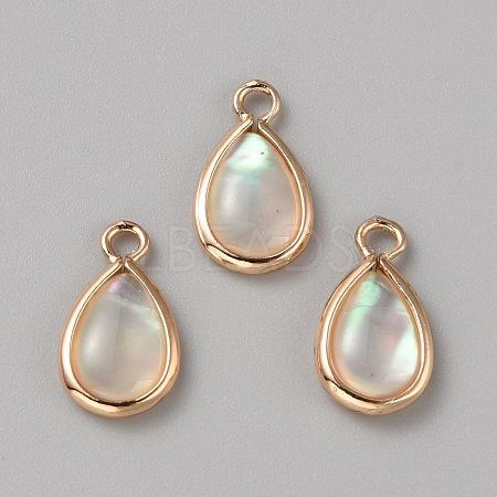 Natural White Shell Teardrop Charms with Enamel FIND-WH0159-52A-KCG-1