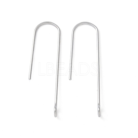 316 Surgical Stainless Steel Earring Hooks STAS-Z124-02D-P-1