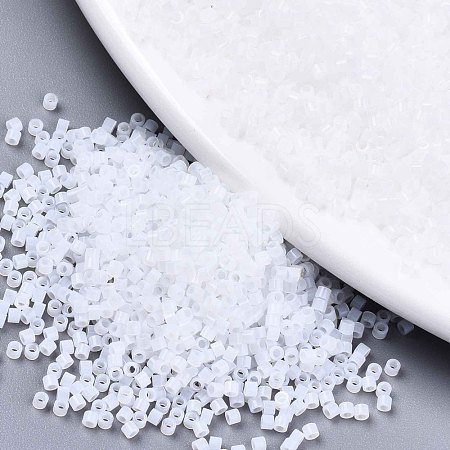 FGB 11/0 Grade A Glass Seed Beads X-SEED-S030-1141-1