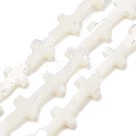 Natural White Shell Beads Strands SSHEL-F0812C-1