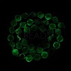Natural Fluorite Beads Strands G-I308-05B-02-4