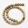 Natural Fossil Coral Round Bead Strands G-N0166-05-8mm-3