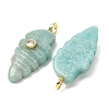 Natural Amazonite Carved Pendants G-H357-04G-04-3