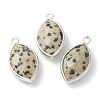Natural Dalmatian Jasper Pendants G-B009-01P-B-1