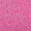 TOHO 11/0 Round Beads X-SEED-TR11-0038-2