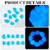 1 Set Resin Luminous Glow in the Dark Pebbles Stone DJEW-CN0001-40B-5