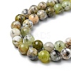 Natural Green Opal Beads Strands G-C029-02B-4