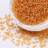 FGB 8/0 Grade A Round Glass Seed Beads SEED-Q007-3mm-F31-1