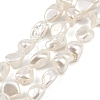 Shell Pearl Beads Strands BSHE-C008-01-1