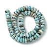 Natural Larimar Beads Strands G-H004-A01-01-3